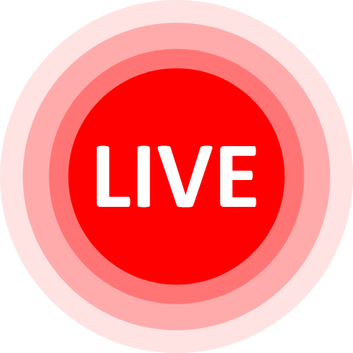 Lovense Camgirls